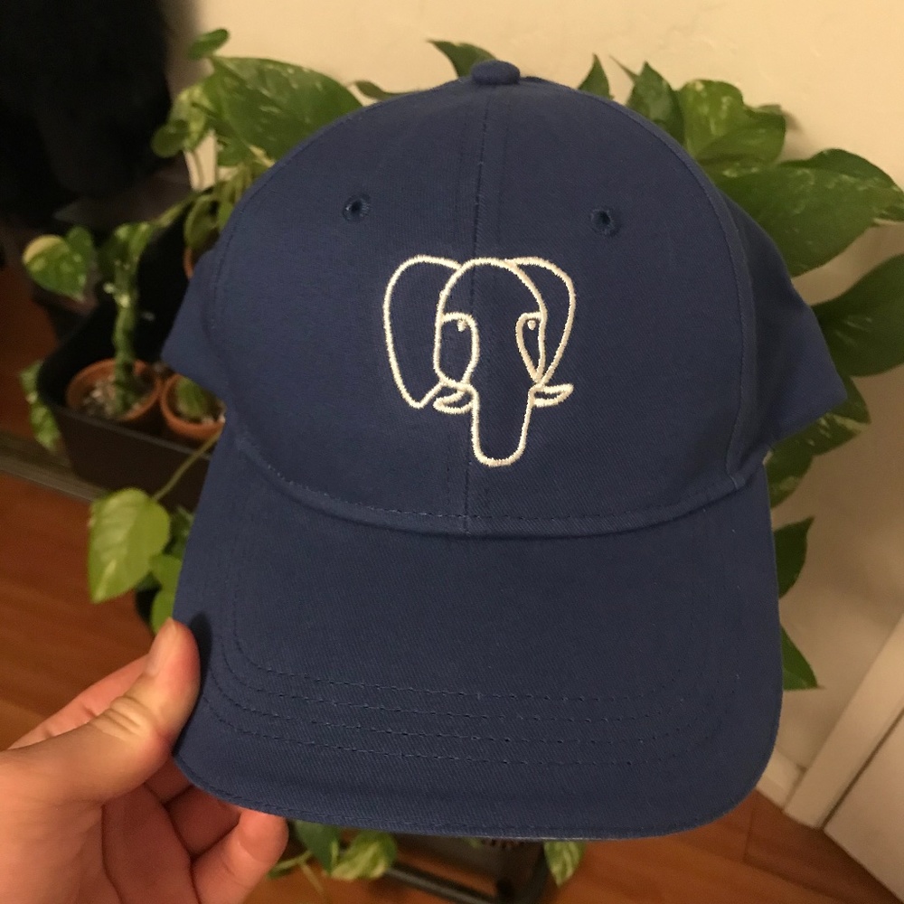 PostgreSQL tech hat blue